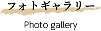 フォトギャラリー